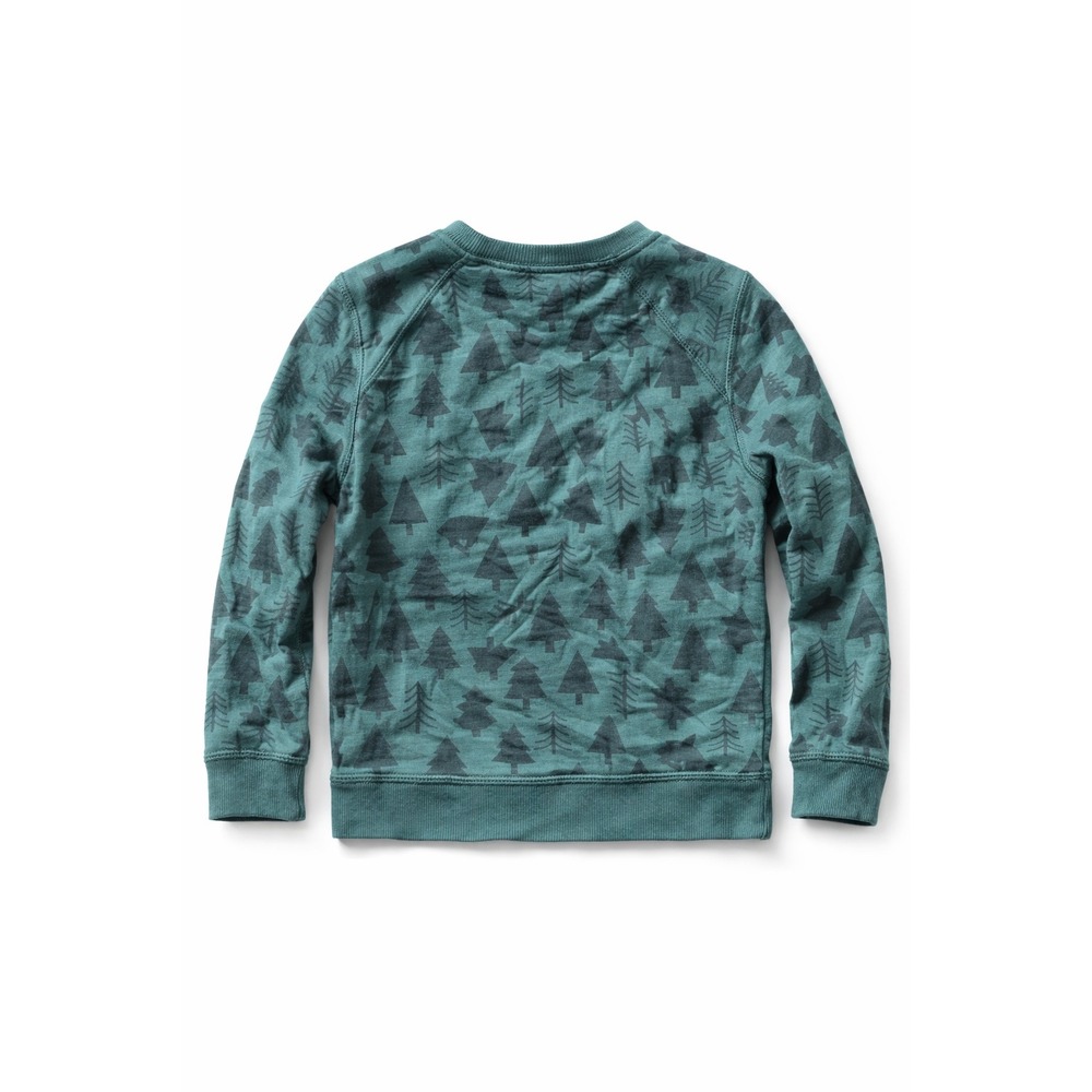 Hanna Andersson Kids Pine Tree Forest Print Sweatshirt Teal Green Size 120 US6-7 - Picture 3 of 4